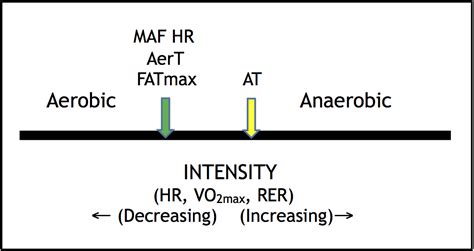 The MAF 180 Formula: Heart.